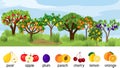 Landscape with different fruit trees with ripe fruits. Harvest time Royalty Free Stock Photo